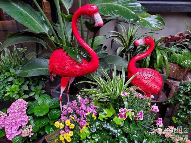 三星Galaxy S10+深度體驗:足以證明三星回歸中國市場的野心 三星Galaxy S10+深度體驗:足以證明三星回歸中國市場的野心