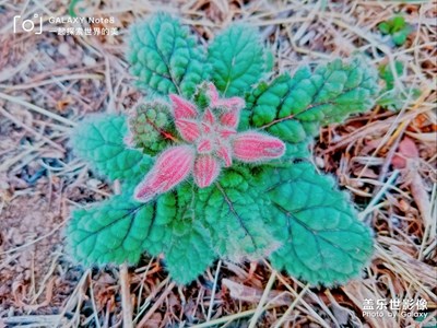 【風(fēng)光之美】+美途