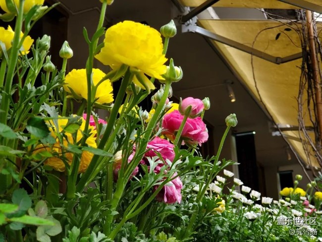 三星Galaxy S10+深度體驗:足以證明三星回歸中國市場的野心 三星Galaxy S10+深度體驗:足以證明三星回歸中國市場的野心