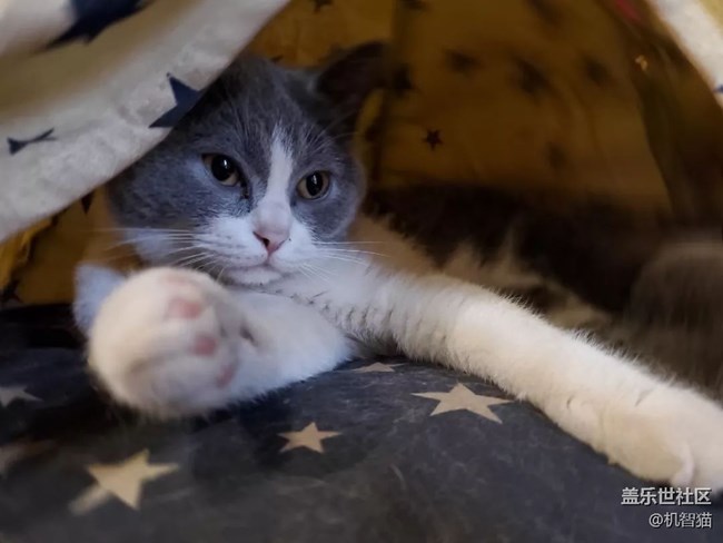 三星Galaxy S10+深度體驗:足以證明三星回歸中國市場的野心 三星Galaxy S10+深度體驗:足以證明三星回歸中國市場的野心