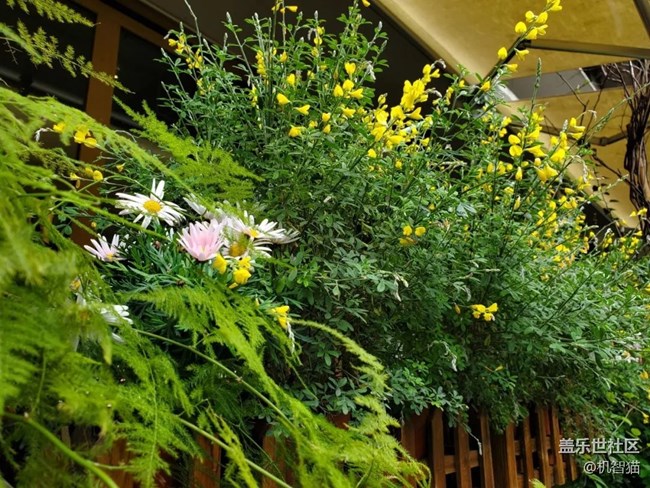 三星Galaxy S10+深度體驗:足以證明三星回歸中國市場的野心 三星Galaxy S10+深度體驗:足以證明三星回歸中國市場的野心