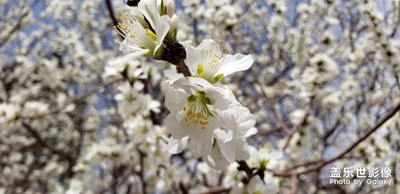 【風(fēng)光之美】+烏?；ㄩ_(kāi)