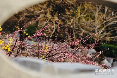 【風(fēng)光之美】+釣魚路上的美景