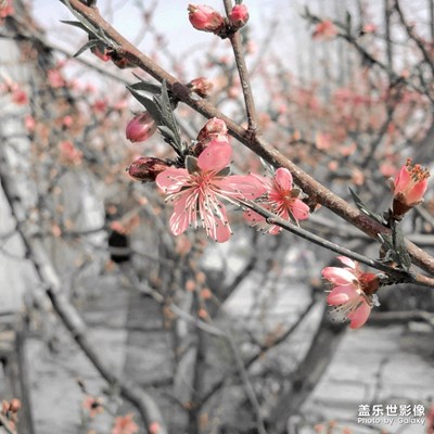 以后再遇見你，請說你好