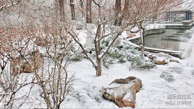 一周之內(nèi)看四季，白雪與桃花