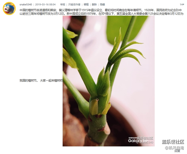 （已開獎）【線上活動】沈陽星部落 “種春天”贏星幣