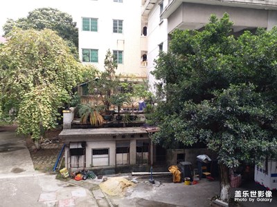 【風(fēng)光之美】＋庭中之美