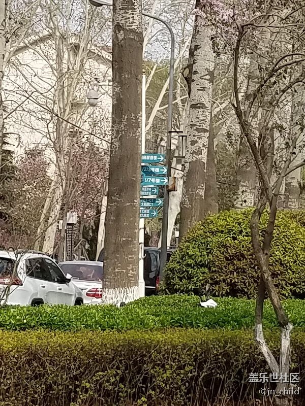 再來一波 4800像素 相機 和 S7 的 對比。剪切的局部。