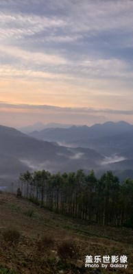 晨