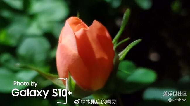 相機(jī)水印問題