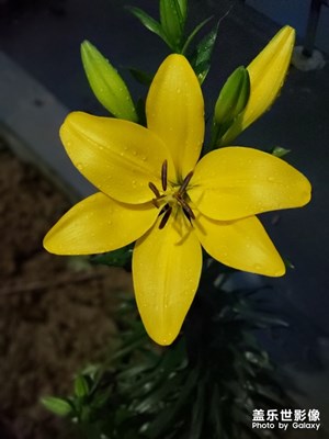 note9自動模式拍照