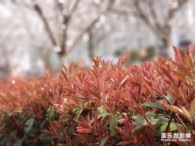 路邊的景色，停下來也很美