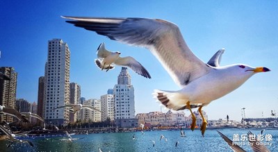 奔騰依舊，*無(wú)限。