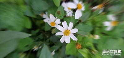 ………………………………