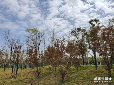 【風(fēng)光之美】+周末s10＋隨拍