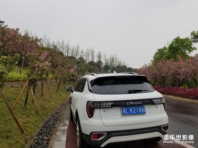 隨便拍拍，看書