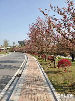 春天真不錯(cuò)