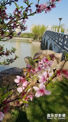 [四月你好]人間四月太美好