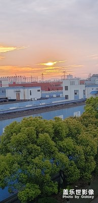 清晨的陽(yáng)光