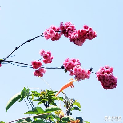 【四月你好】+隨手四月