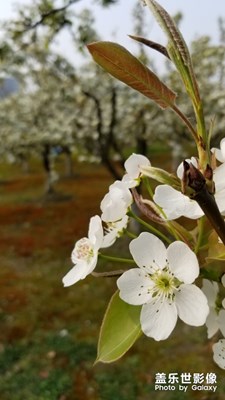 首帖，激動(dòng)