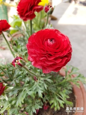 生活隨拍，故鄉(xiāng)又回來(lái)了