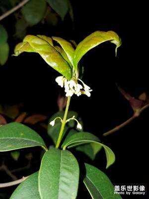 不懂怎么發(fā)……………………