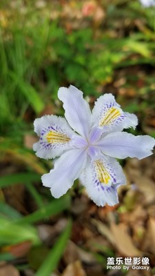 【四月你好】+春暖花開