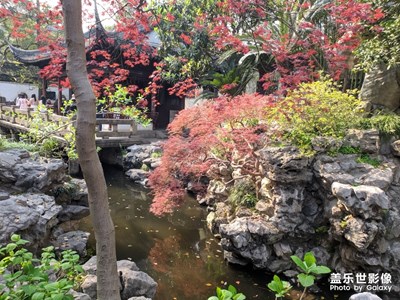 上海 豫園 游玩二