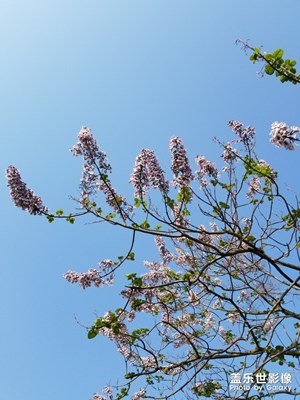 春暖花開時(shí)