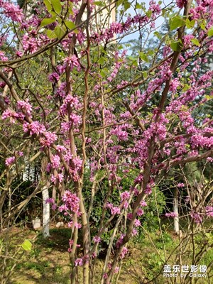 【四月你好】+人間四月天