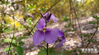 【陽光的味道】+隨手拍一拍
