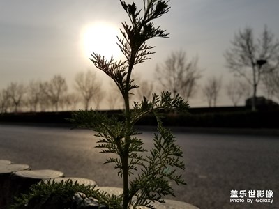 晨跑時(shí)隨手拍