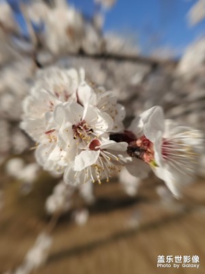 花∠※