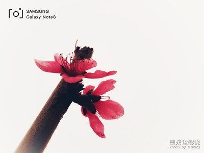 春風(fēng)細(xì)雨