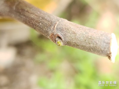 熬過了冬天，你終于發(fā)芽了