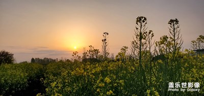 【陽光的味道】+相約黃昏后