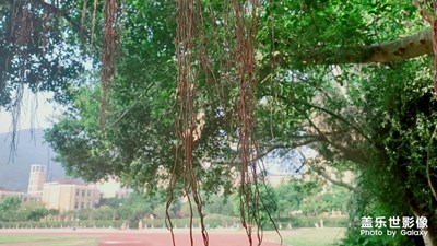 s10圖片編輯器確實不錯！