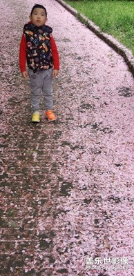 A系列定位在哪里？！