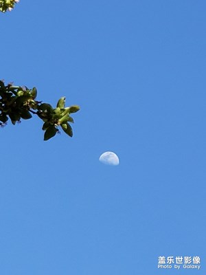 【陽光的味道】+日月同輝