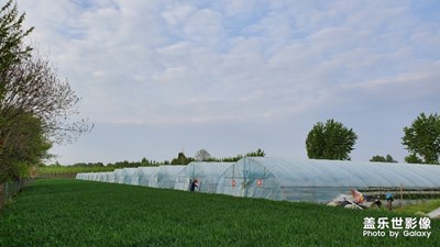 【在路上】+一路風光一路詩