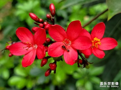 在路上小幸運(yùn)