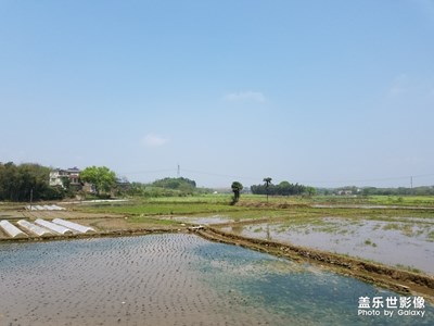 【在路上】+家鄉(xiāng)