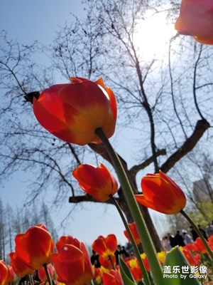 四月的風(fēng)，青島的風(fēng)還是挺大??????