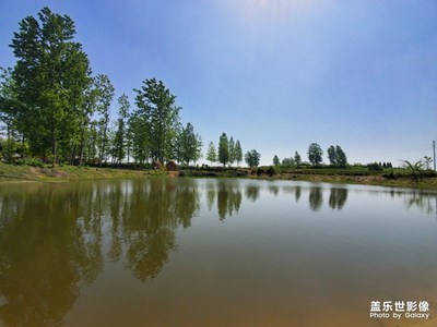 新機(jī)拍隨手拍