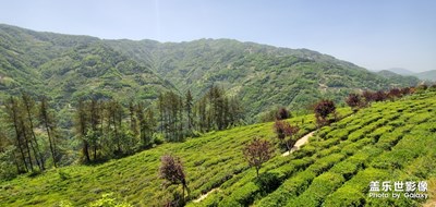 隨手一拍  剛入手的s10