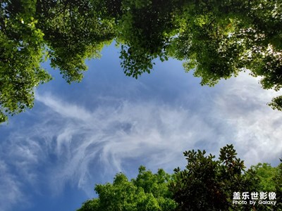 今天天氣好，藍(lán)天白云?。。?！