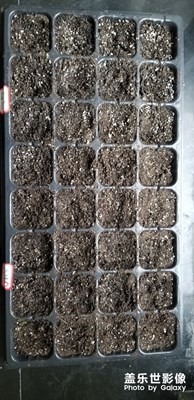 實(shí)驗(yàn)課