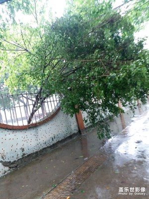 【在路上】+上下班