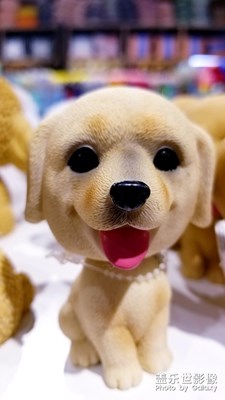 萌萌噠的小可愛